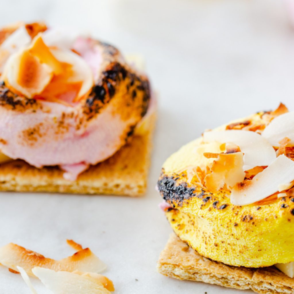 Fruity-Coconut-Smores-lg